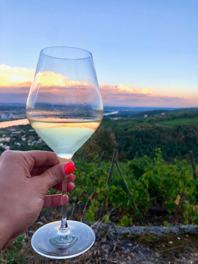 Spacieuse Le Clos Des Vignes Chavanay